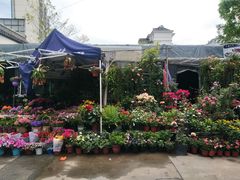 -平吉花卉市场