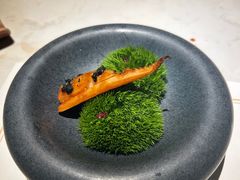 -觀芷隐轩