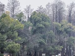 -东湖落雁景区