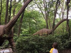-木兰云雾山
