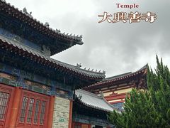 -西安大兴善寺