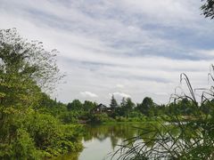 -桤木河湿地公园