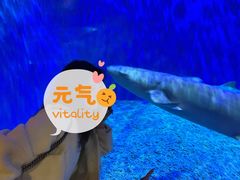 -华夏文旅海洋公园