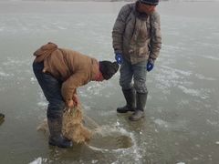 -呼兰河口湿地公园