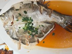 非一般海鲈鱼-外婆家(西红门荟聚购物中心店)