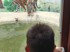 -栾川竹海野生动物园
