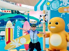 -海合安成都极地海洋公园