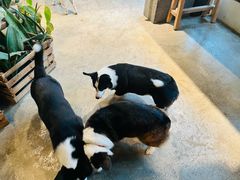 -自由生长植物工作室(深港花卉中心店)