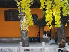-西园戒幢律寺