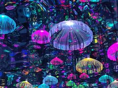 -上海梵高星空艺术馆(南京路旗舰店)