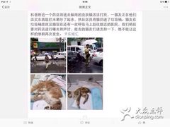 iphone_upload_pic-盛京一禾