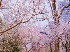 -安定门(地铁站)