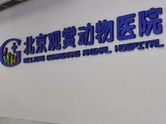 -北京观赏动物医院·24小时大型综合·猫专科·异宠专科