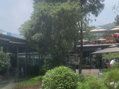 -蘇河湾·新鲁菜·泰山宴(泰山店)