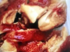 -九爺雞(文德路店)