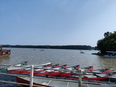 -上海海湾国家森林公园