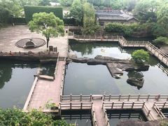 -蛇蟠岛