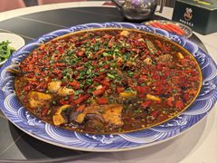 -新概念来凤鱼(璧山店)