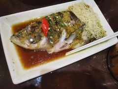 -刘胖子家常菜·蹄花焖藕(中南店)