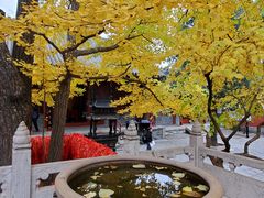 -红螺寺