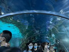 -石家庄海洋公园
