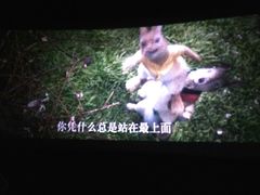 -武汉华夏国际影城(鲁广店)