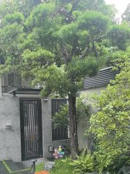 -同远QQBABY亲子摄影(北京路店)