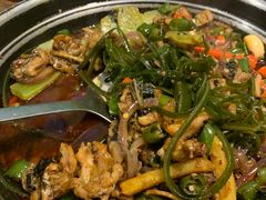-蛙小侠(珠海华发商都店)