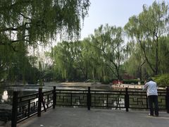 -玲珑塔公园