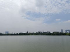 -海珠湖公园
