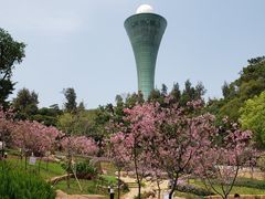 -狐尾山公园