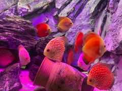 -多彩贵州城极地海洋世界