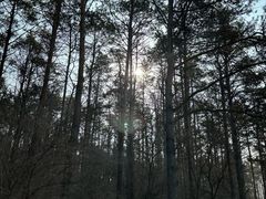 -长春净月潭风景名胜区