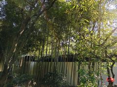 -秋霞圃