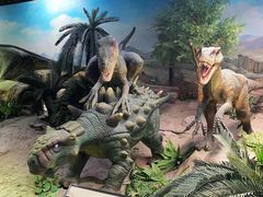 -国家自然博物馆