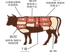 -牛也烧肉(摩尔城店)