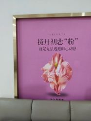 -重庆五洲妇儿医院·妇幼保健