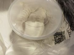 -东园小馆·早茶·淮扬小炒(印象汇店)