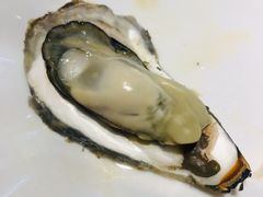 清蒸生蚝-全渔村小海鲜