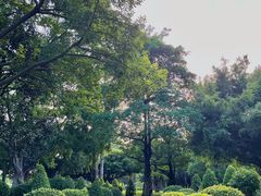 -南宁南湖公园