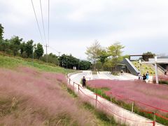 -牛岗山公园