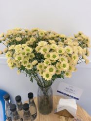 点击看大图 -靓芙泉·0感专研祛痘