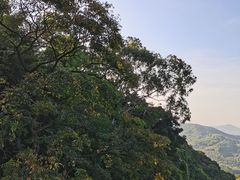 -广州市帽峰山景区