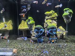 -重庆欢乐海底世界