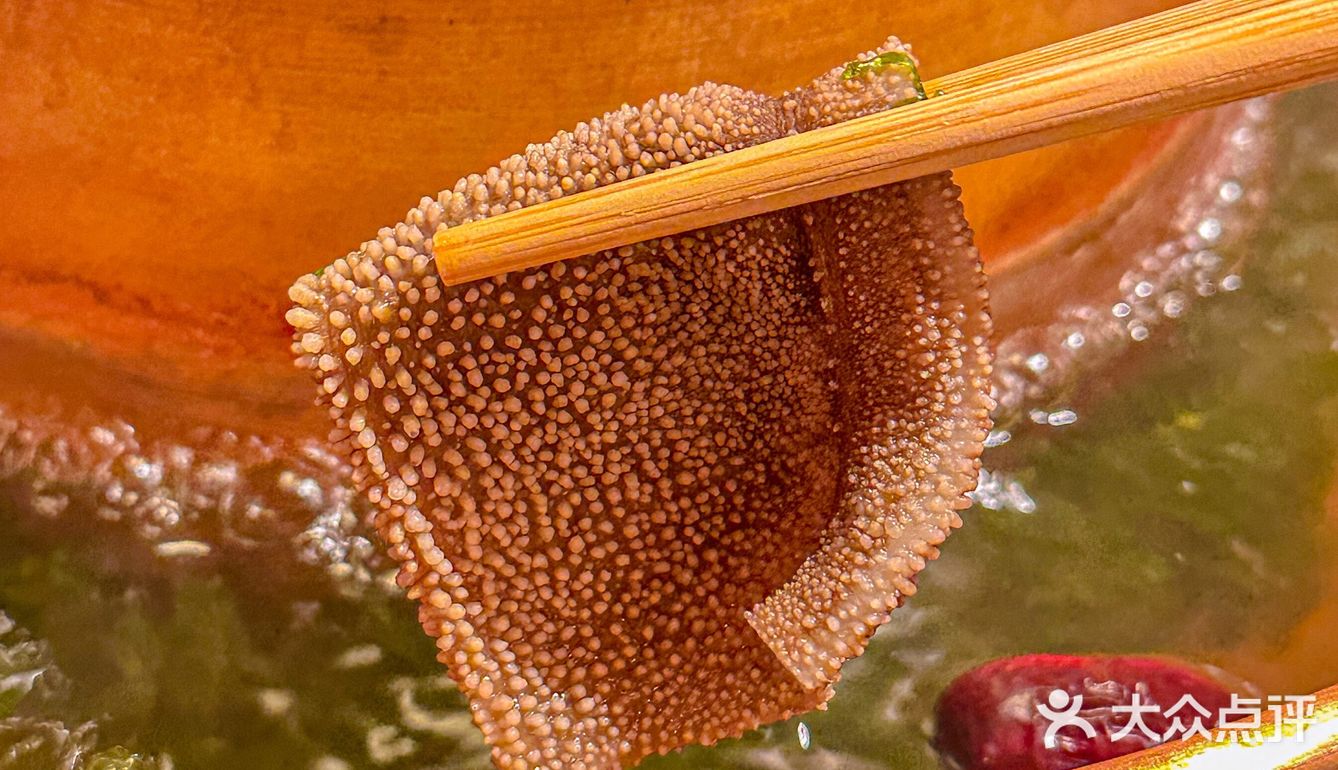 诚信推荐！为这口麻酱配羔羊肉真的好吃到[流泪]
