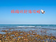 -杨梅坑