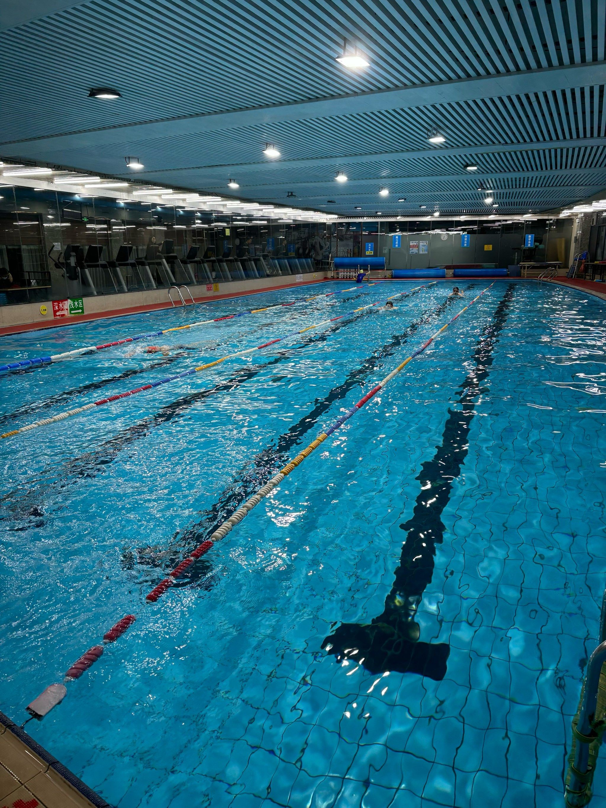 郑州!我唯一想推荐的游泳馆