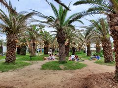 -Cafe Aewol Monsant