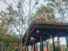 -顺峰山公园