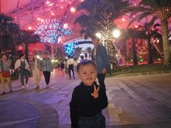 -三亚海昌梦幻海洋不夜城